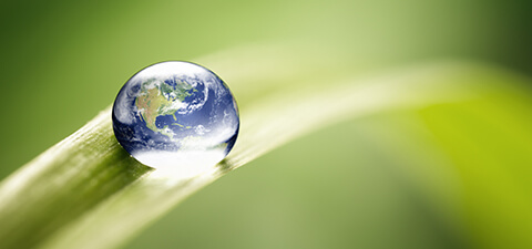 Environment Policy Environment Policy