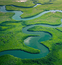 Environment Policy Environment Policy